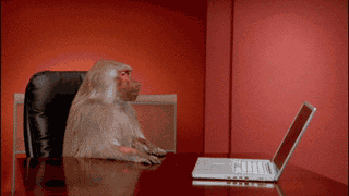 monkey giving up and pushing a laptop off of a table